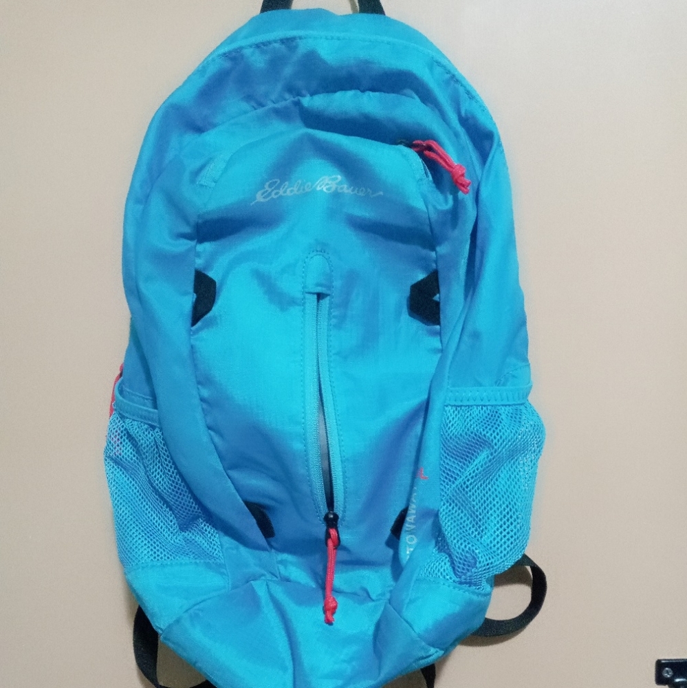 Eddie bauer stowaway 20l backpack